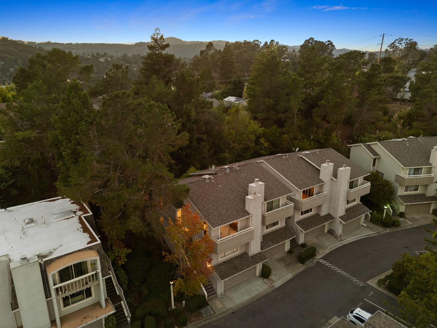 Detail Gallery Image 80 of 88 For 62 Lyonridge Ln, San Mateo,  CA 94402 - 3 Beds | 2/1 Baths