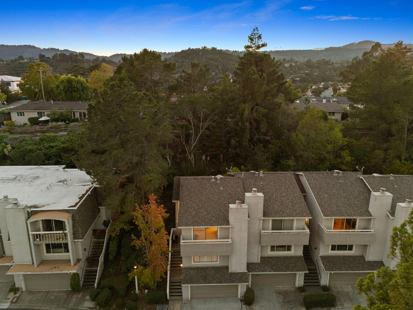 Detail Gallery Image 81 of 88 For 62 Lyonridge Ln, San Mateo,  CA 94402 - 3 Beds | 2/1 Baths