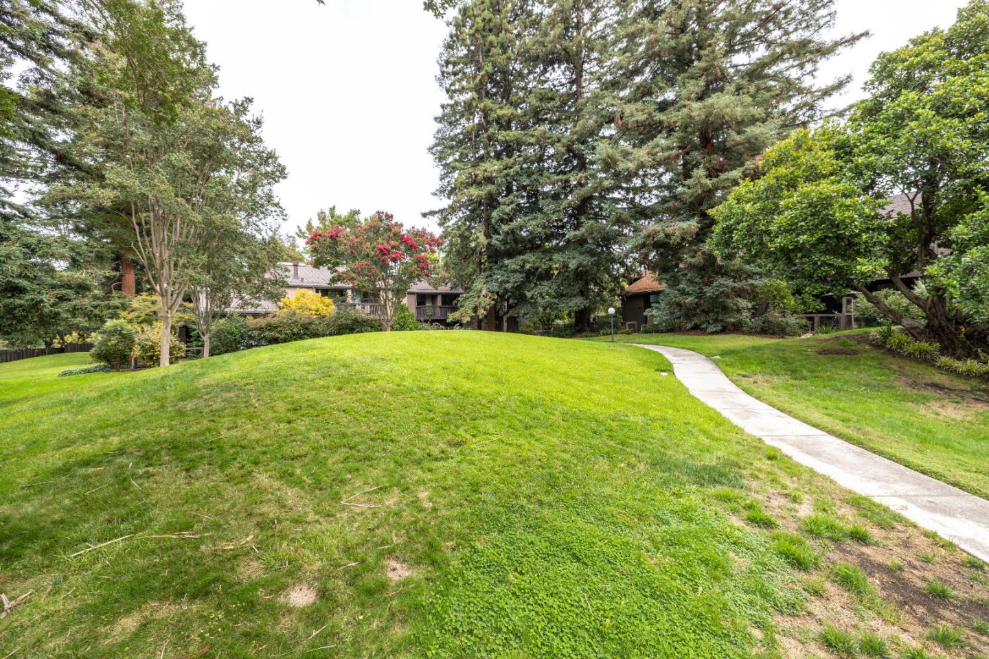 Detail Gallery Image 33 of 34 For 215 Horizon Ave, Mountain View,  CA 94043 - 3 Beds | 2 Baths