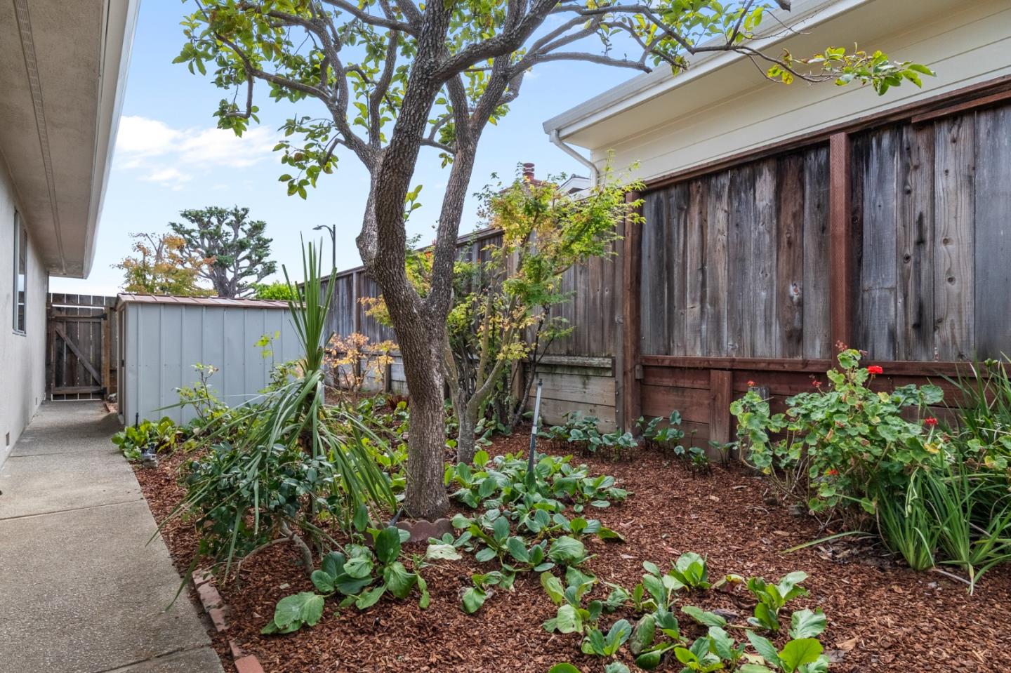 Detail Gallery Image 73 of 93 For 2700 Mariposa Dr, Burlingame,  CA 94010 - 4 Beds | 3/1 Baths