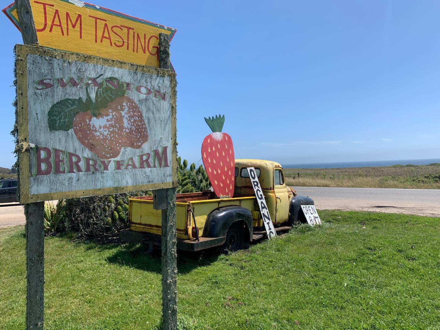 Detail Gallery Image 11 of 13 For 2 3rd Ave, Davenport,  CA 95017 - – Beds | – Baths