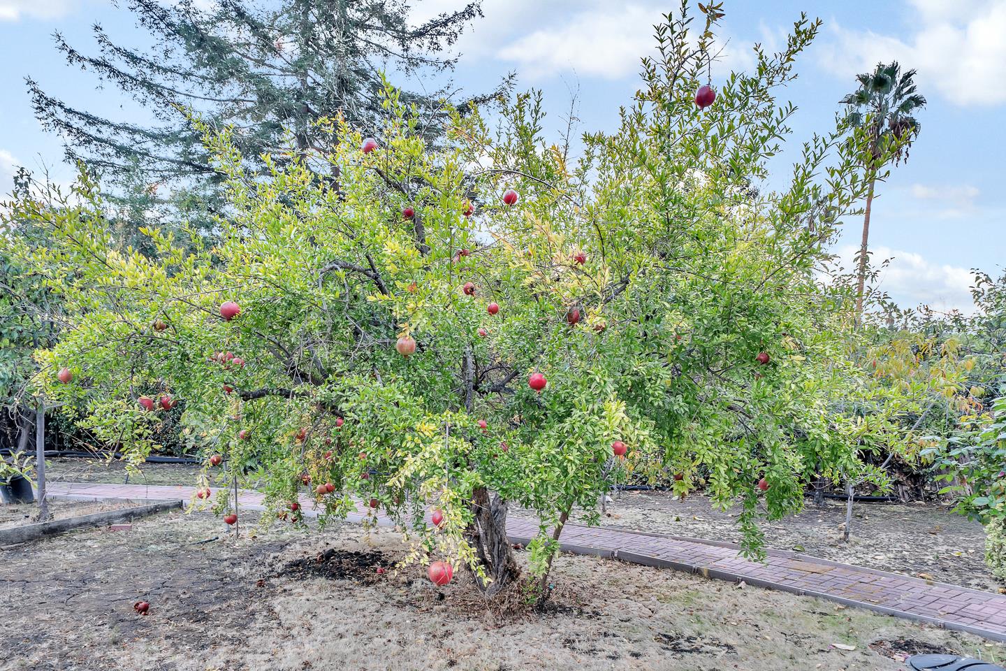 Detail Gallery Image 33 of 41 For 45897 Bridgeport, Fremont,  CA 94539 - 4 Beds | 4 Baths