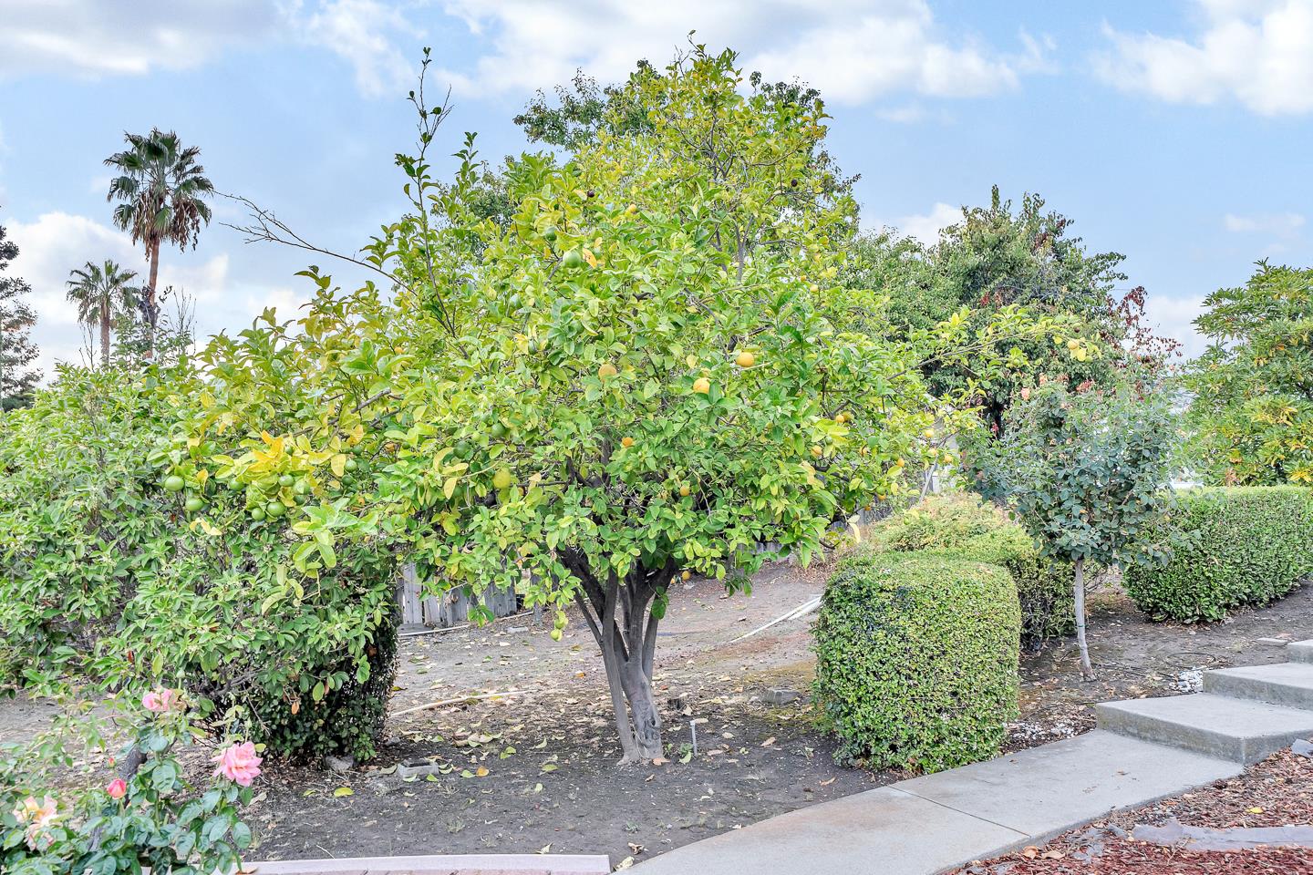 Detail Gallery Image 34 of 41 For 45897 Bridgeport, Fremont,  CA 94539 - 4 Beds | 4 Baths