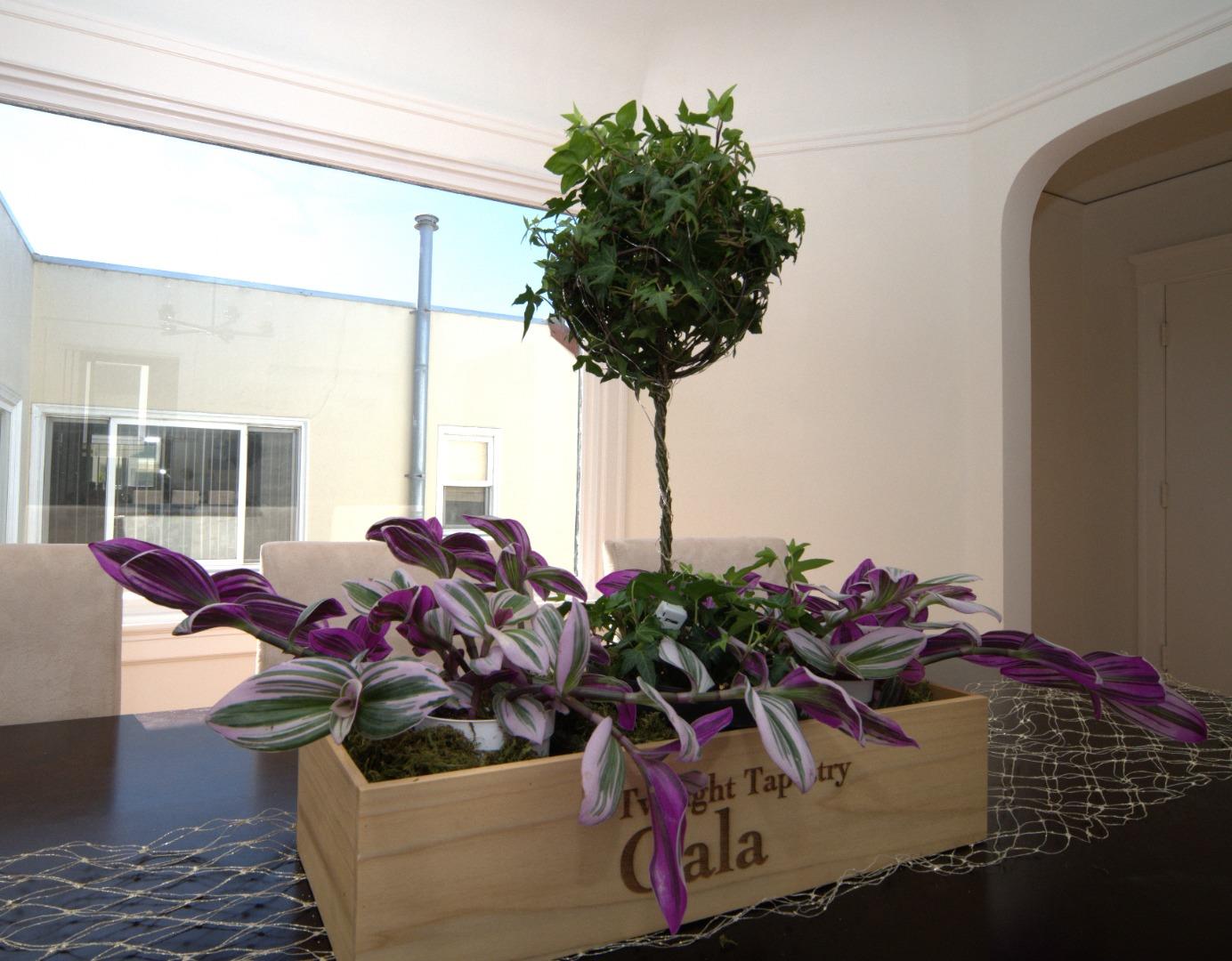 Detail Gallery Image 14 of 16 For 2306 32nd Ave, San Francisco,  CA 94116 - 3 Beds | 1 Baths