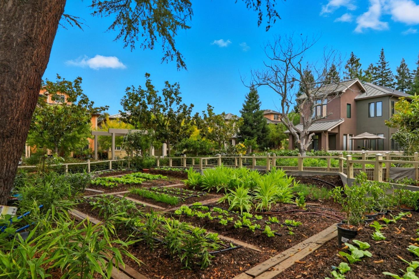 Detail Gallery Image 41 of 44 For 4206 Rickeys Way #C,  Palo Alto,  CA 94306 - 3 Beds | 3 Baths