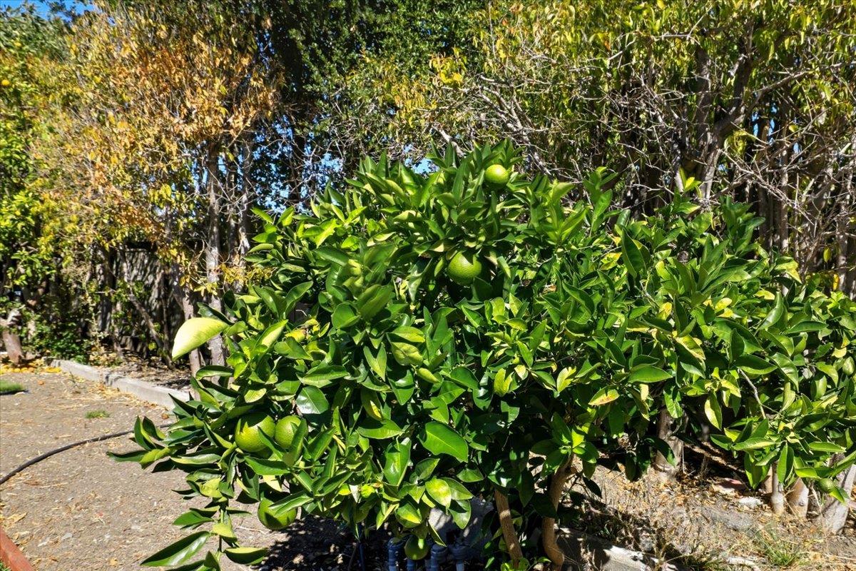 Detail Gallery Image 55 of 71 For 18 Culver Ct, San Mateo,  CA 94403 - 2 Beds | 1 Baths