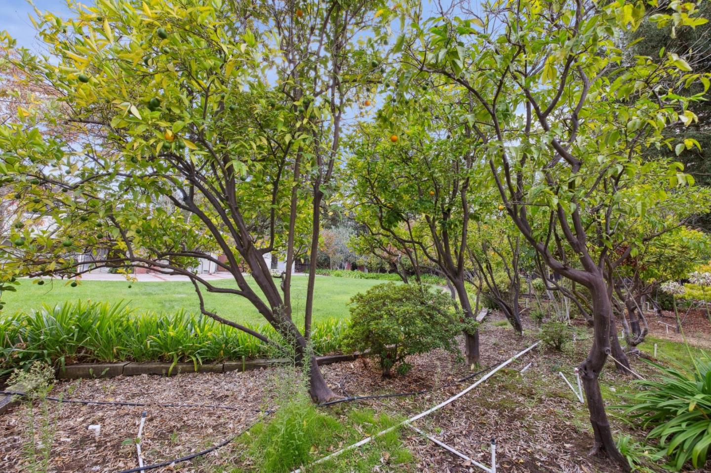 Detail Gallery Image 44 of 139 For 57 Fairview Ave, Atherton,  CA 94027 - 6 Beds | 3/1 Baths