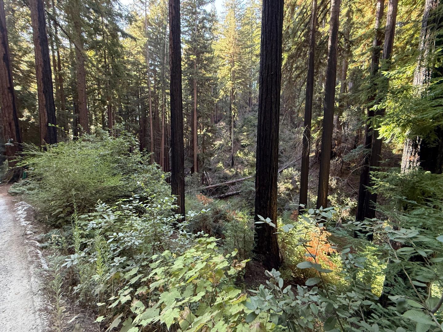 Detail Gallery Image 2 of 5 For 449 Band Rd, Boulder Creek,  CA 95006 - – Beds | – Baths