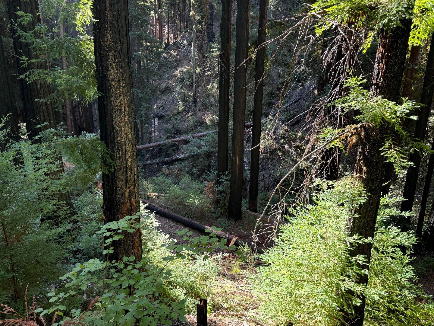 Detail Gallery Image 3 of 5 For 449 Band Rd, Boulder Creek,  CA 95006 - – Beds | – Baths