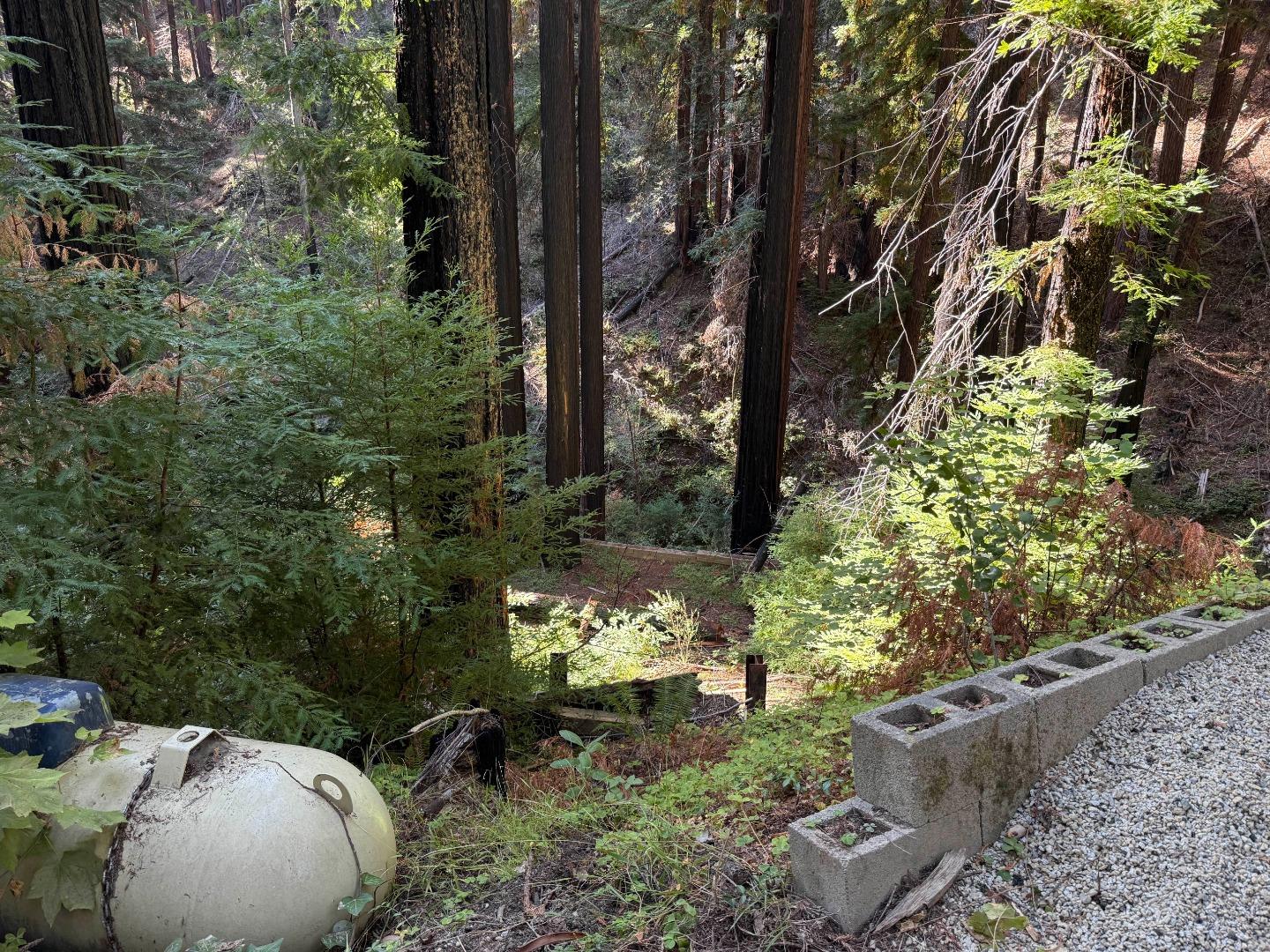 Detail Gallery Image 4 of 5 For 449 Band Rd, Boulder Creek,  CA 95006 - – Beds | – Baths