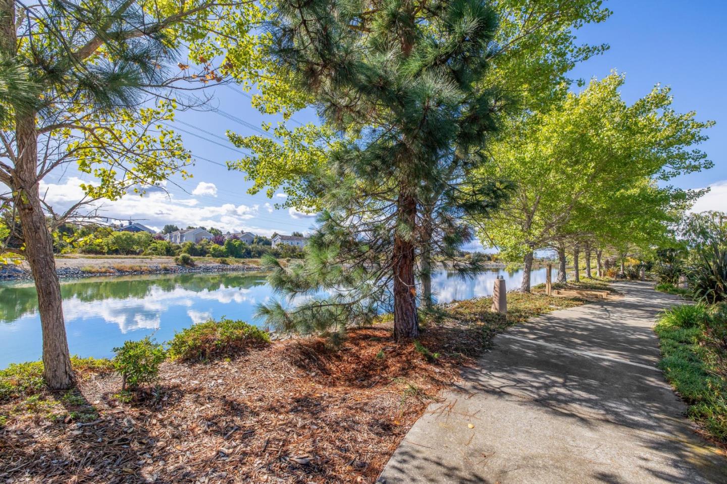 Detail Gallery Image 36 of 39 For 2009 Gossamer Ave, Redwood Shores,  CA 94065 - 3 Beds | 2/1 Baths