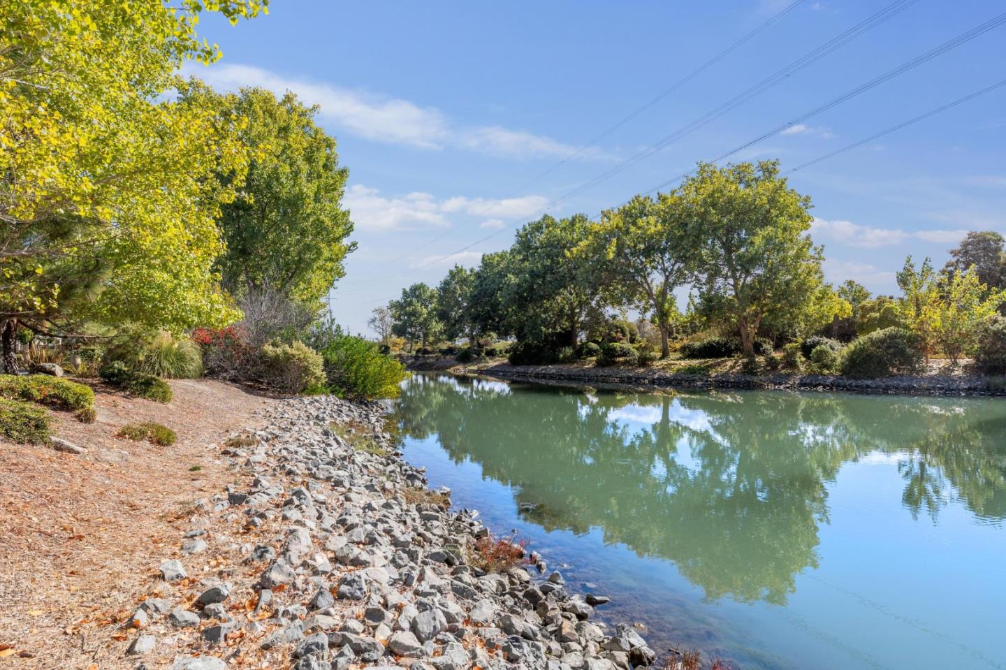 Detail Gallery Image 38 of 39 For 2009 Gossamer Ave, Redwood Shores,  CA 94065 - 3 Beds | 2/1 Baths