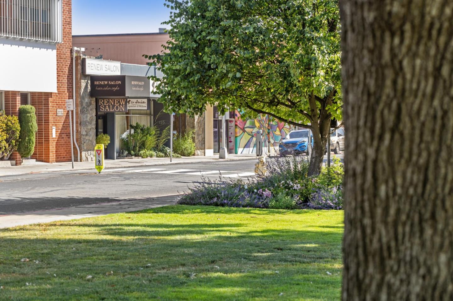 Detail Gallery Image 8 of 18 For 153 E 5th Ave, San Mateo,  CA 94401 - – Beds | – Baths