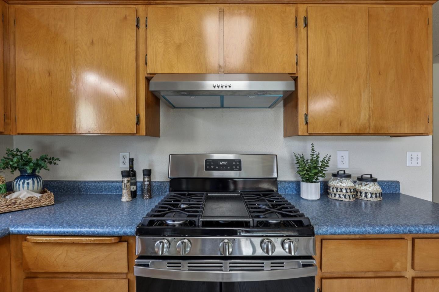 Detail Gallery Image 18 of 55 For 1317 Tamarack Ct, Newman,  CA 95360 - 3 Beds | 2 Baths