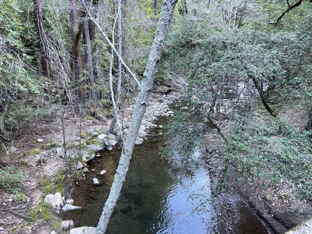 Detail Gallery Image 11 of 14 For 0 Croy Road, Morgan Hill,  CA 95037 - – Beds | – Baths