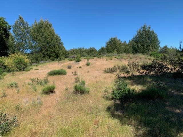 Detail Gallery Image 3 of 10 For 0 Croy Road, Morgan Hill,  CA 95037 - – Beds | – Baths