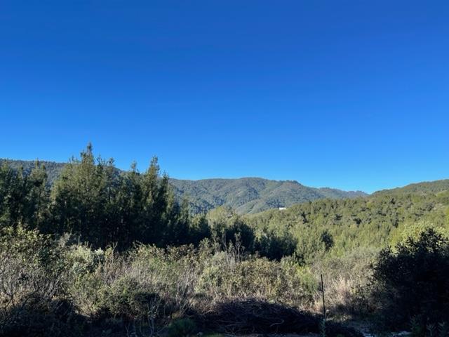 Detail Gallery Image 6 of 10 For 0 Croy Road, Morgan Hill,  CA 95037 - – Beds | – Baths