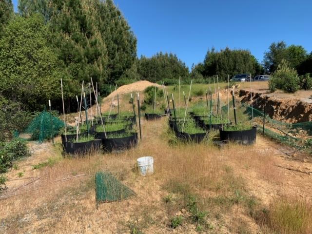 Detail Gallery Image 9 of 10 For 0 Croy Road, Morgan Hill,  CA 95037 - – Beds | – Baths