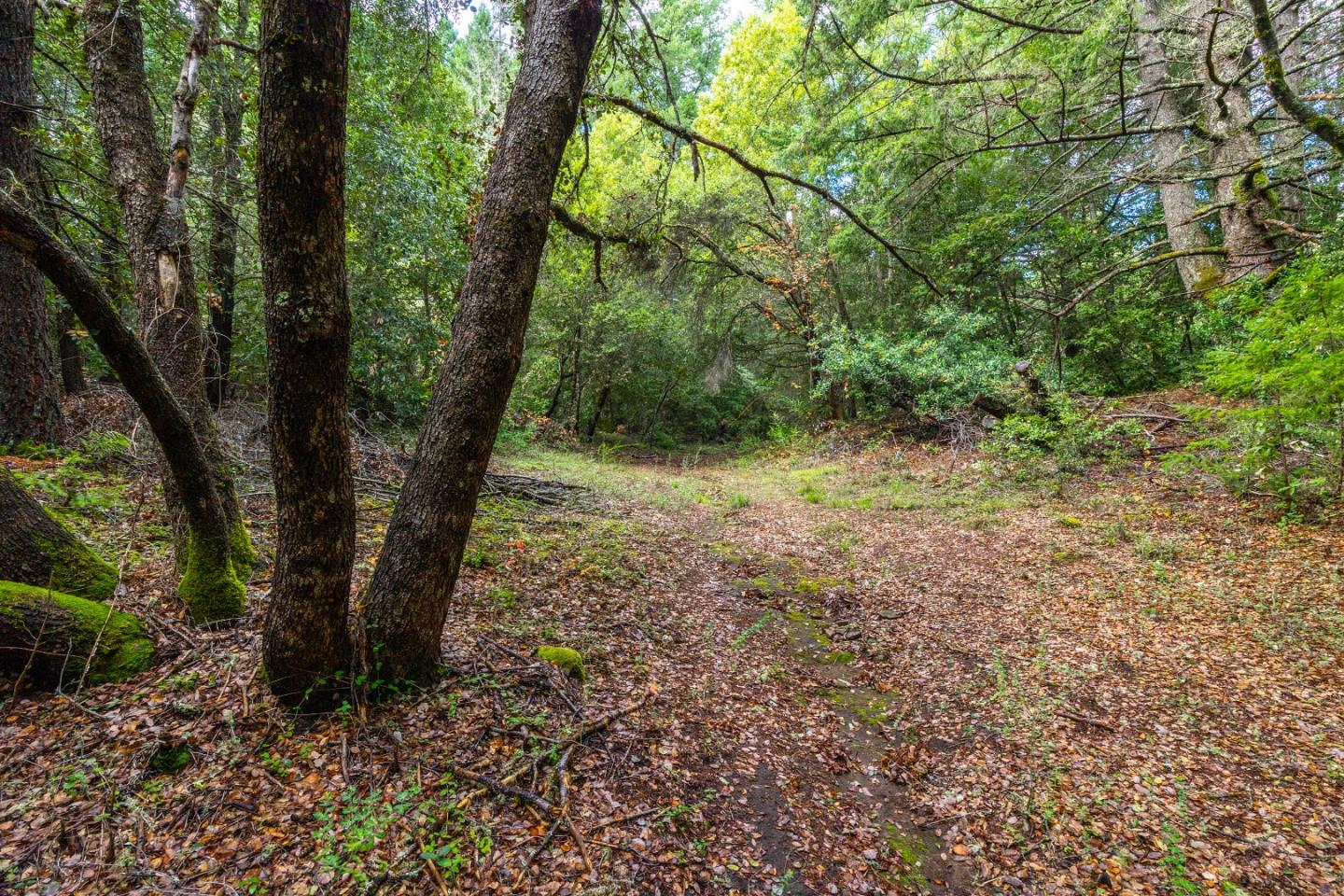 Detail Gallery Image 59 of 68 For 188 Kelly Ln, Santa Cruz,  CA 95060 - 5 Beds | 3 Baths