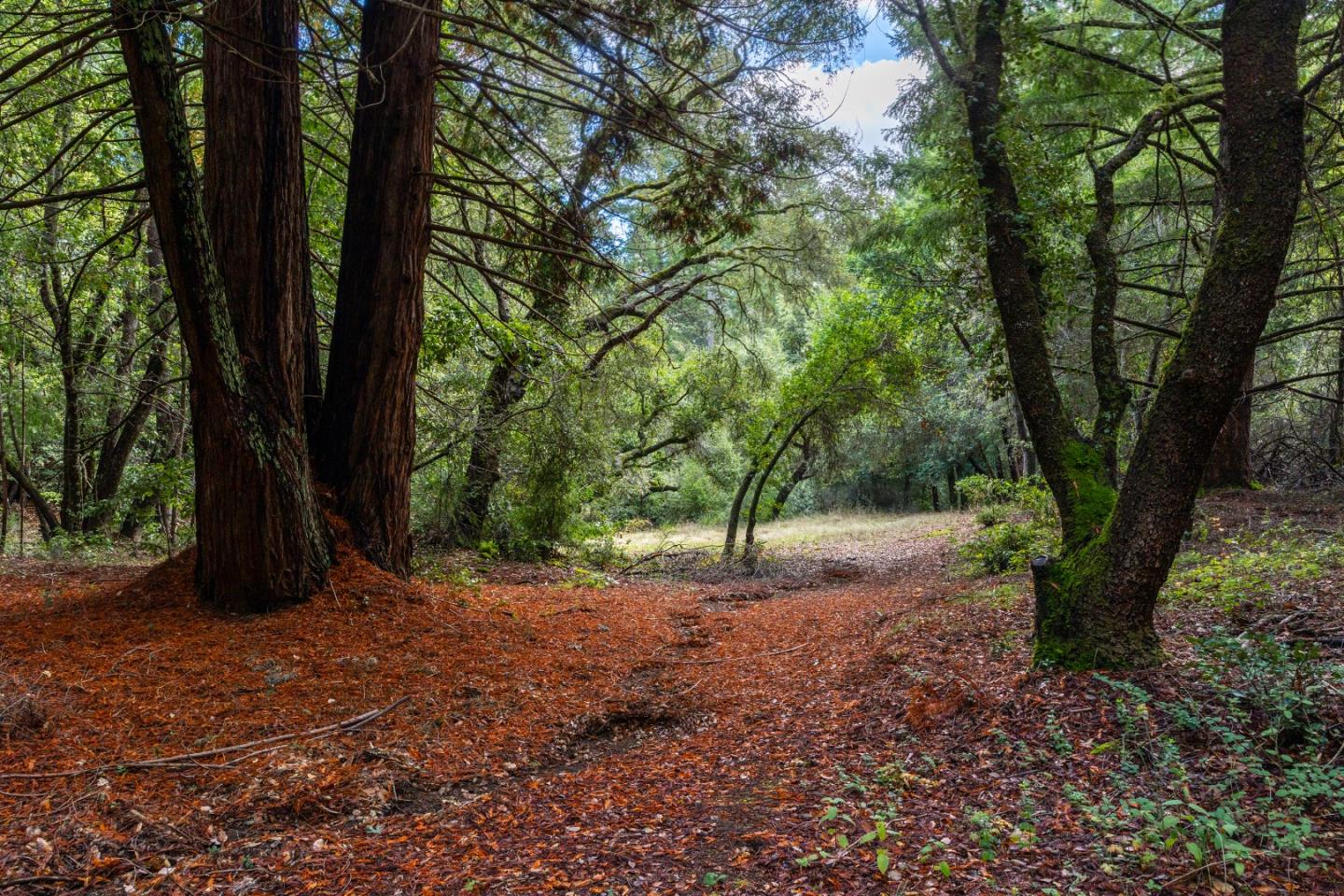 Detail Gallery Image 60 of 68 For 188 Kelly Ln, Santa Cruz,  CA 95060 - 5 Beds | 3 Baths