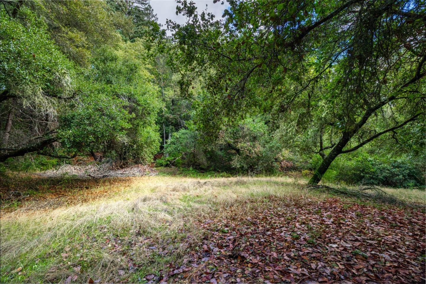 Detail Gallery Image 61 of 68 For 188 Kelly Ln, Santa Cruz,  CA 95060 - 5 Beds | 3 Baths