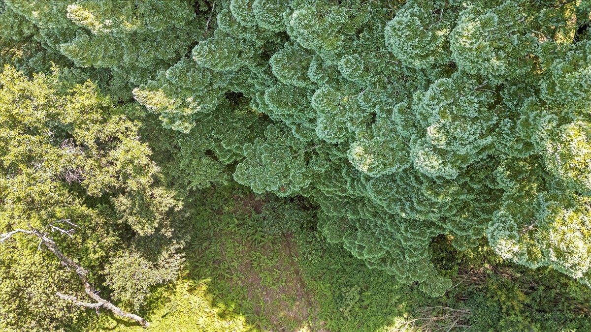 Detail Gallery Image 17 of 23 For 115 Edison Way, Soquel,  CA 95073 - – Beds | – Baths