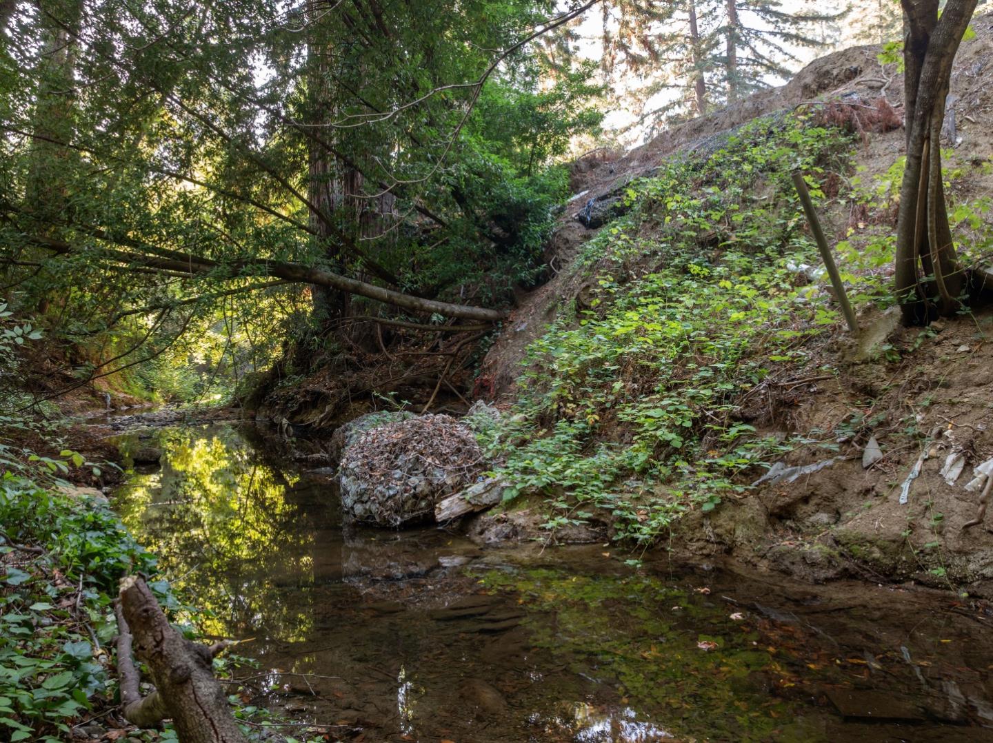 Detail Gallery Image 10 of 11 For 15840 Old County Hwy, Boulder Creek,  CA 95006 - – Beds | – Baths
