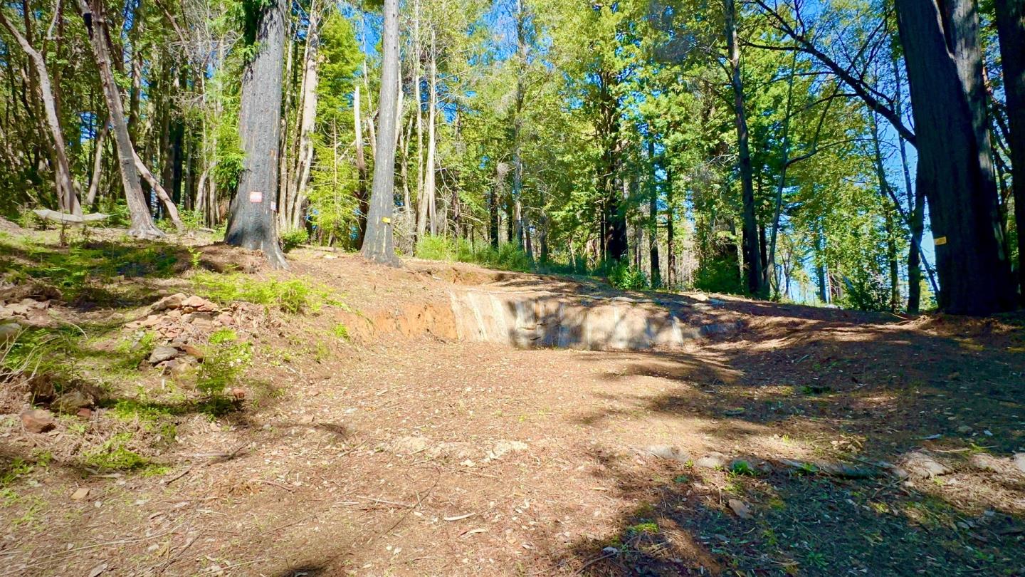 Santa Cruz