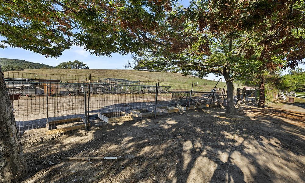 Detail Gallery Image 10 of 24 For 547 Mission Vineyard Rd, San Juan Bautista,  CA 95045 - – Beds | – Baths