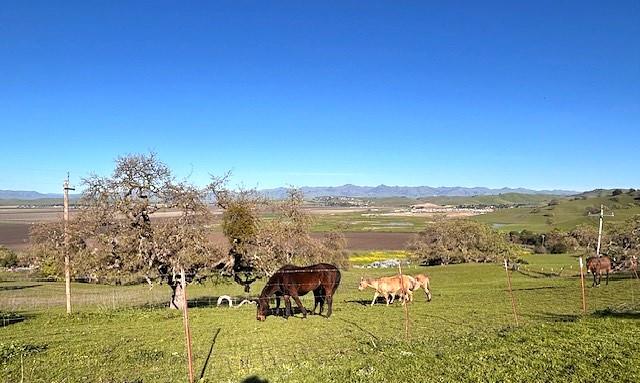 547 Mission Vineyard Road, San Juan Bautista, CA, 95045