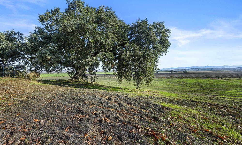 547 Mission Vineyard Road, San Juan Bautista, CA, 95045