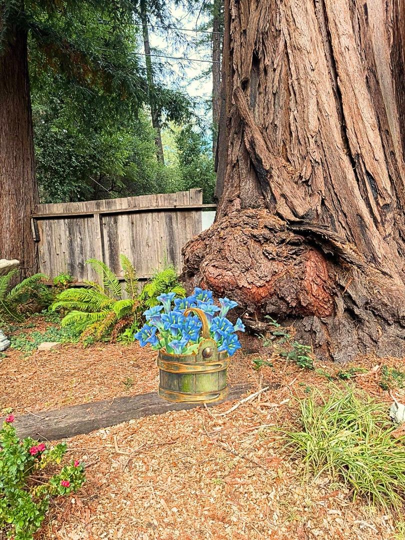 Detail Gallery Image 15 of 35 For 160 Nellie Ln, Boulder Creek,  CA 95006 - 3 Beds | 2 Baths