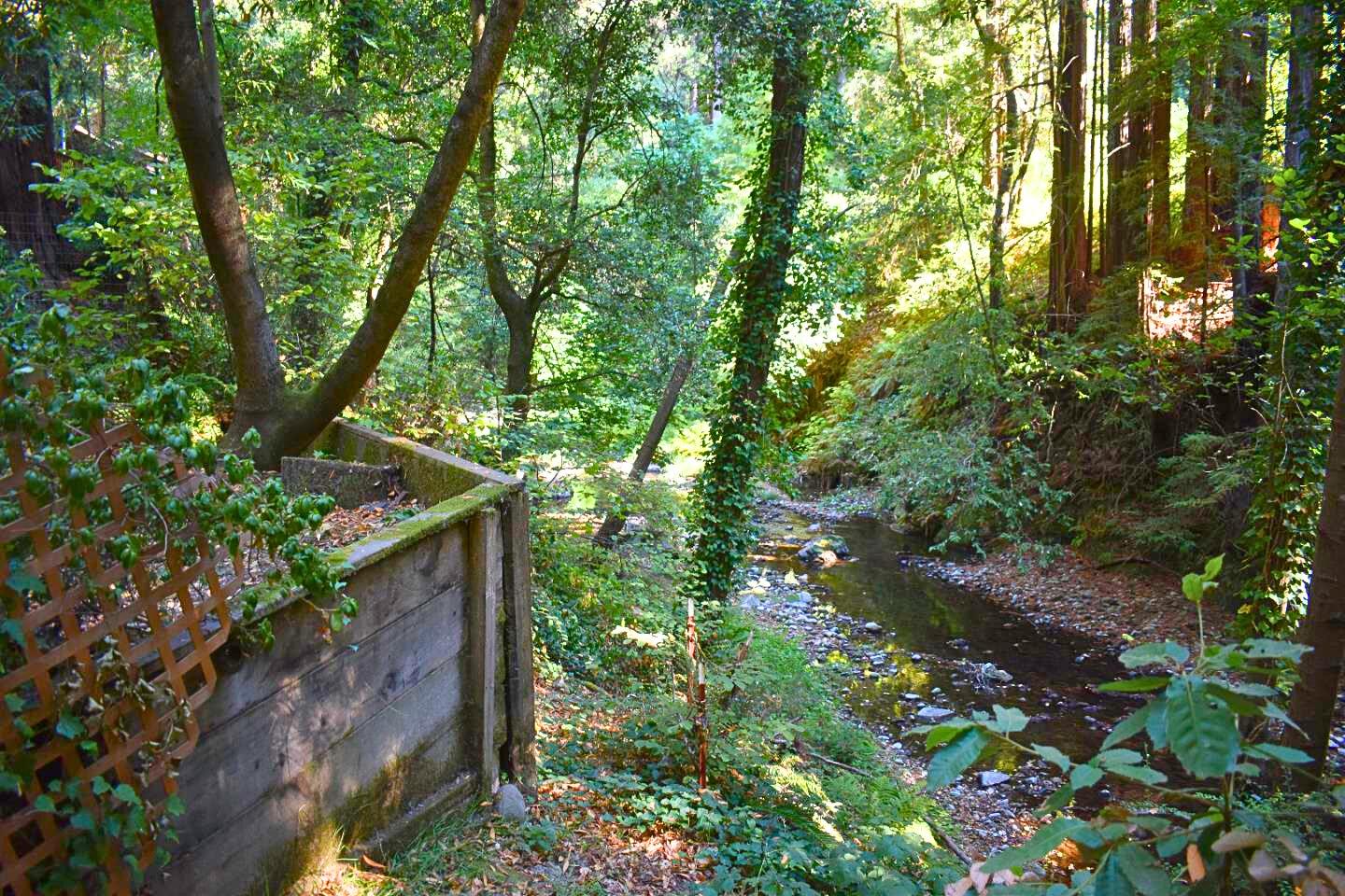 Detail Gallery Image 21 of 35 For 160 Nellie Ln, Boulder Creek,  CA 95006 - 3 Beds | 2 Baths