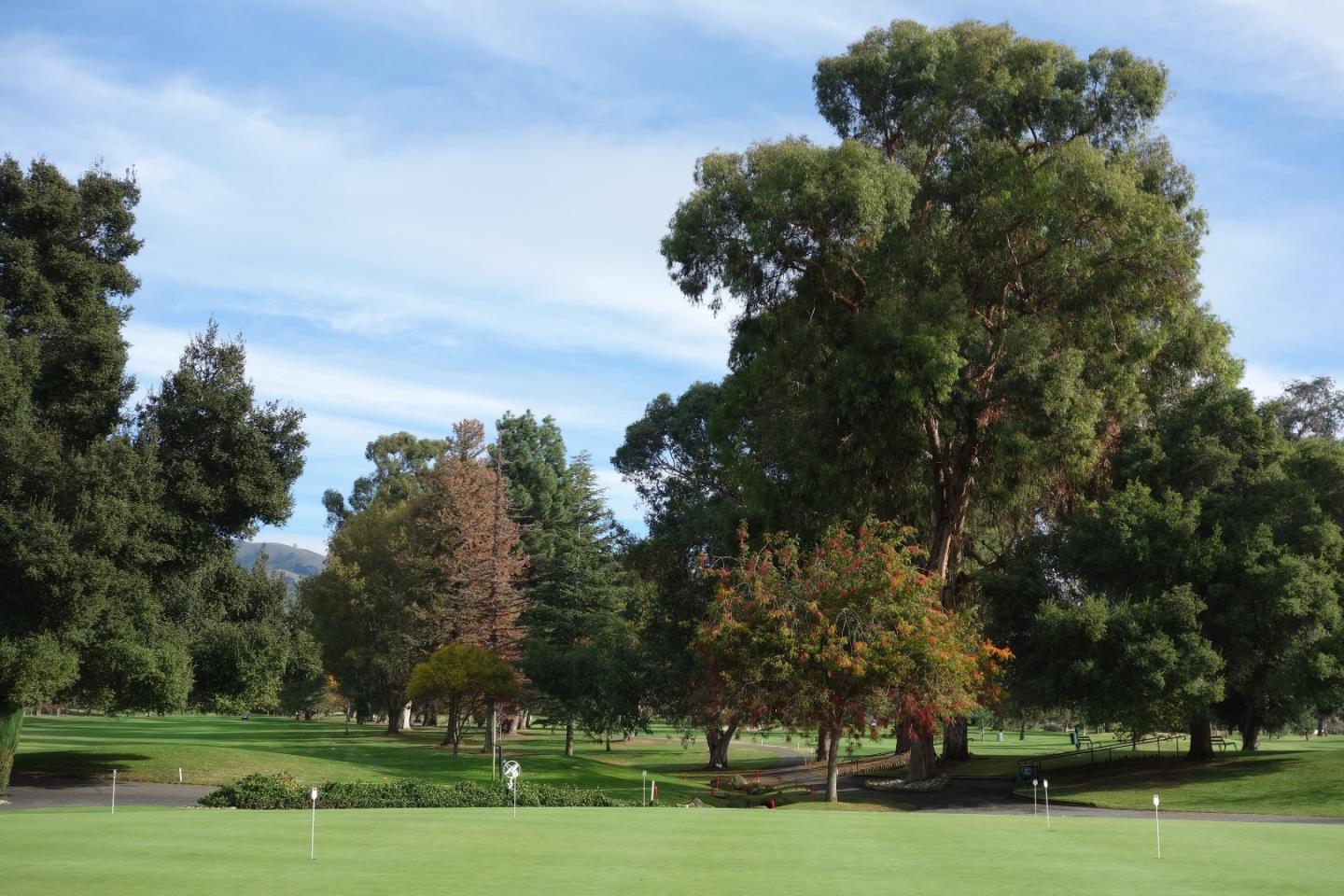 Detail Gallery Image 35 of 37 For 7742 Kilmarnok Dr, San Jose,  CA 95135 - 2 Beds | 2 Baths