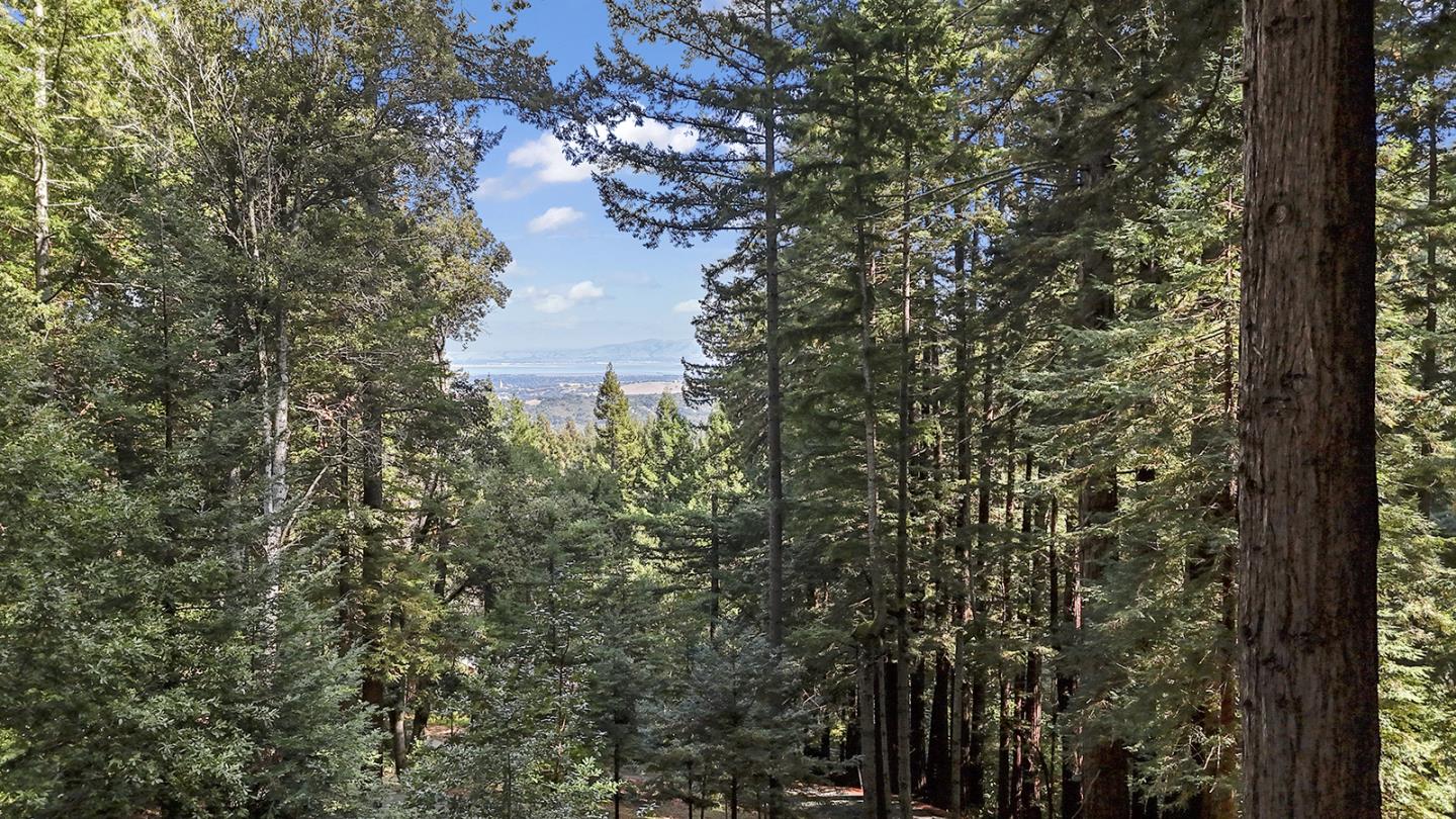 Detail Gallery Image 41 of 43 For 320 Grandview Dr, Woodside,  CA 94062 - 4 Beds | 3 Baths