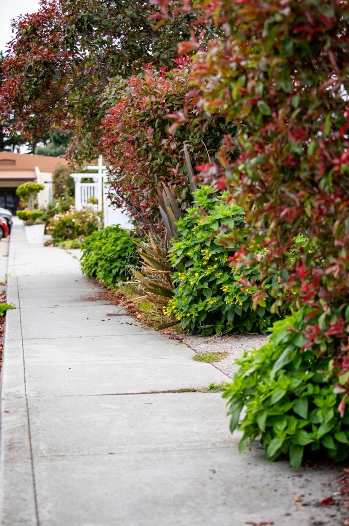 Detail Gallery Image 11 of 33 For 631 Mill St, Half Moon Bay,  CA 94019 - 4 Beds | 1 Baths