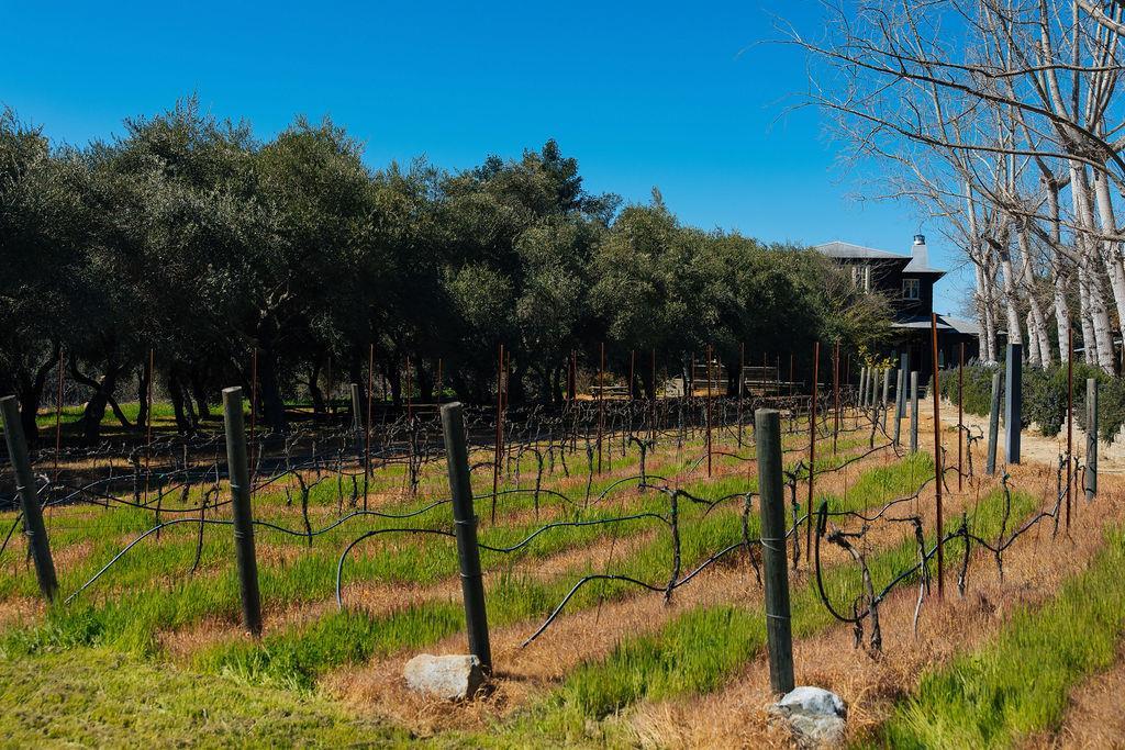 Detail Gallery Image 70 of 71 For 1001 Silverado Trail South, Saint Helena,  CA 94574 - – Beds | – Baths