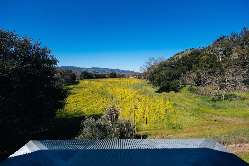 Detail Gallery Image 51 of 72 For 1001 Silverado Trail South, Saint Helena,  CA 94574 - – Beds | – Baths