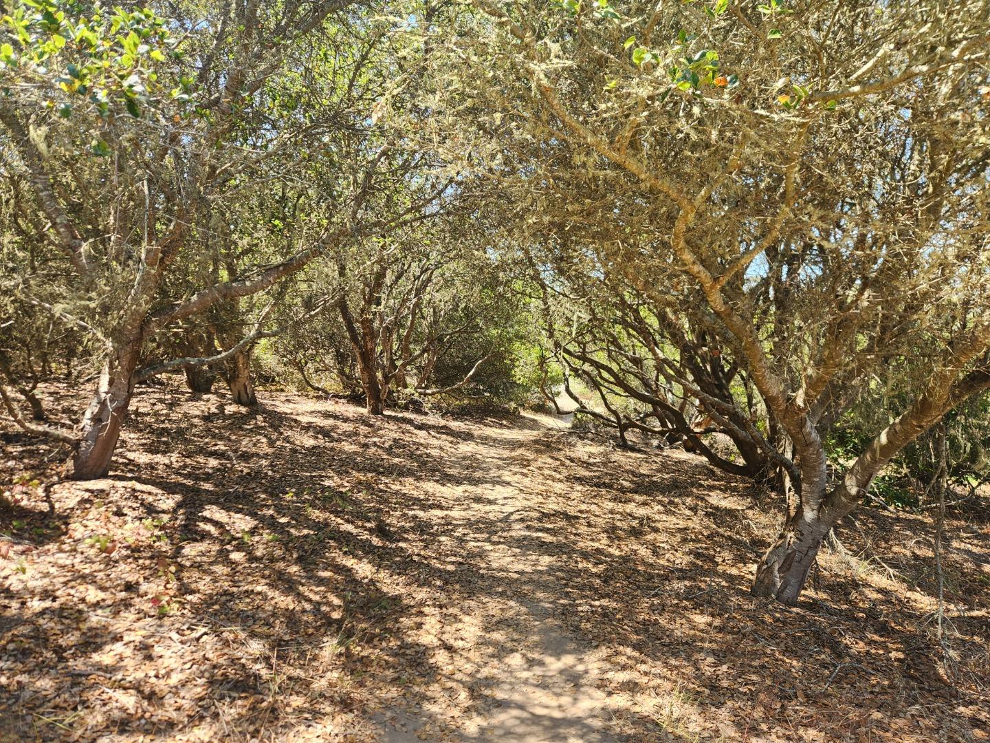 Detail Gallery Image 43 of 49 For 29 Crest Ln, La Selva Beach,  CA 95076 - 3 Beds | 2/1 Baths