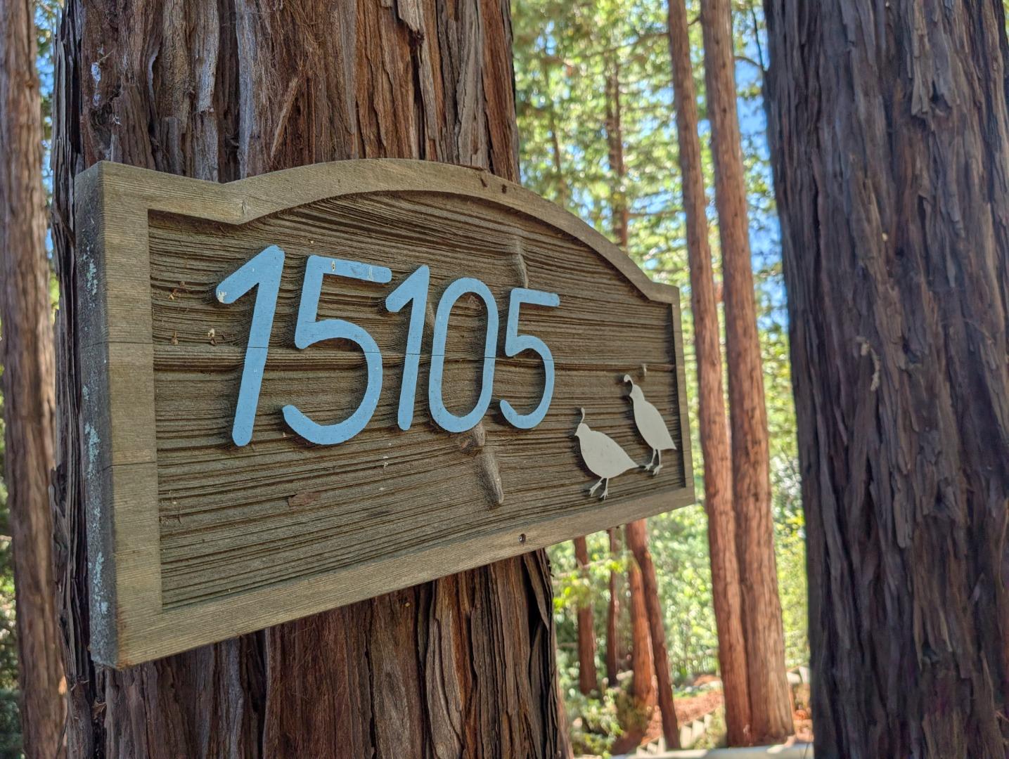 Detail Gallery Image 61 of 63 For 15105 Old Japanese Rd, Los Gatos,  CA 95033 - 3 Beds | 3 Baths