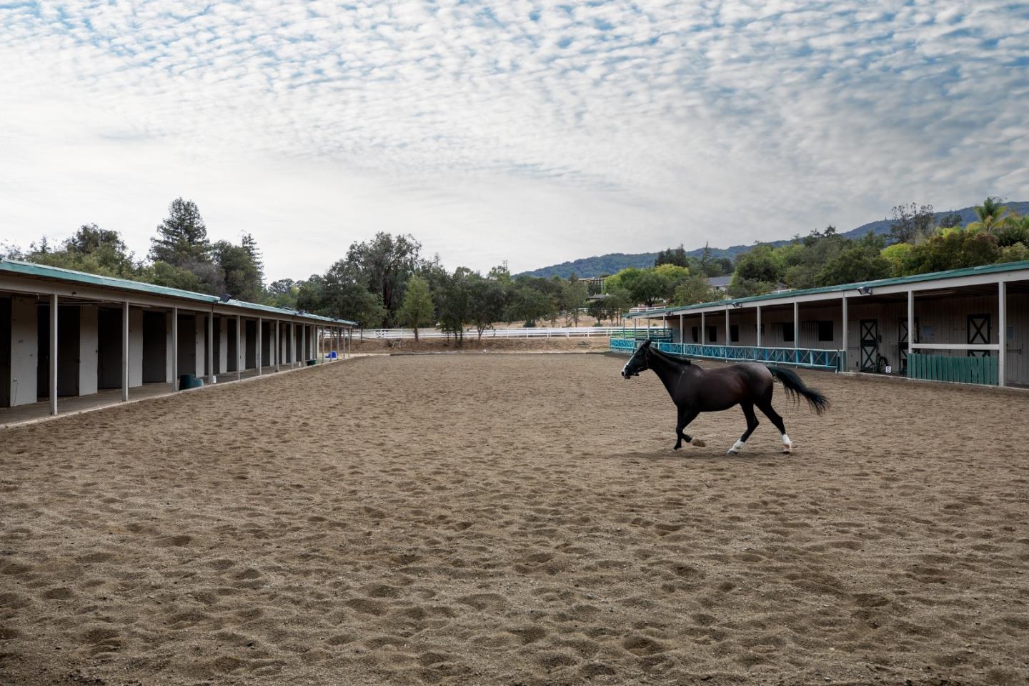 Detail Gallery Image 61 of 61 For 15288 via Pinto, Monte Sereno,  CA 95030 - 5 Beds | 7/2 Baths