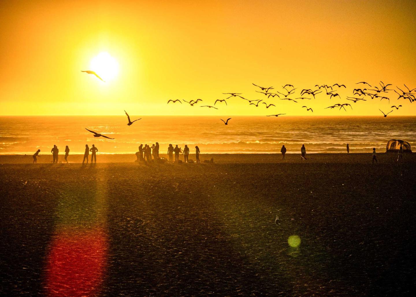 Detail Gallery Image 104 of 116 For 1013 Camino Pablo, San Jose,  CA 95125 - 6 Beds | 4/1 Baths