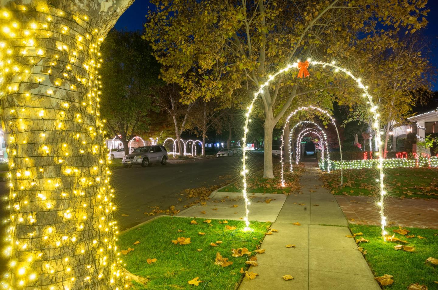 Detail Gallery Image 112 of 116 For 1013 Camino Pablo, San Jose,  CA 95125 - 6 Beds | 4/1 Baths