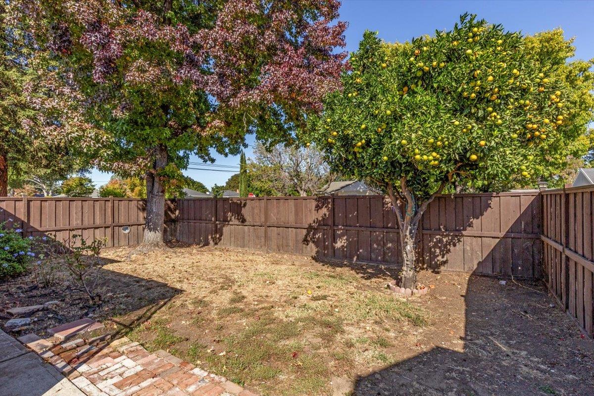 Detail Gallery Image 29 of 34 For 502 Macarthur Ave, San Jose,  CA 95128 - 3 Beds | 1 Baths