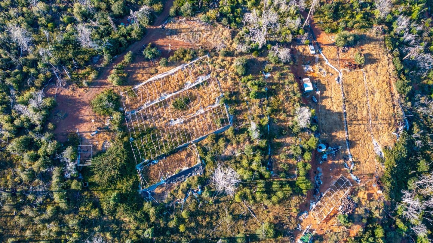 Detail Gallery Image 10 of 20 For 175 Bonnie Meadow Ln, Berry Creek,  CA 95916 - – Beds | – Baths