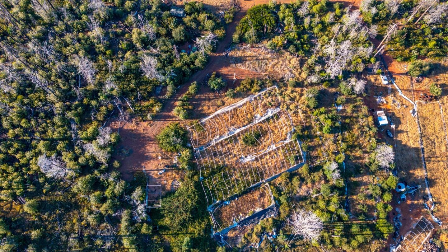 Detail Gallery Image 11 of 20 For 175 Bonnie Meadow Ln, Berry Creek,  CA 95916 - – Beds | – Baths