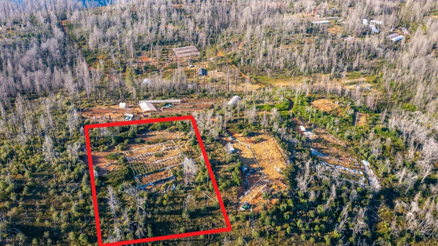 Detail Gallery Image 15 of 20 For 175 Bonnie Meadow Ln, Berry Creek,  CA 95916 - – Beds | – Baths