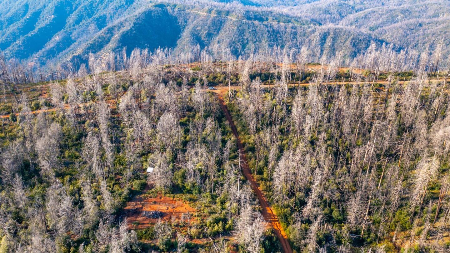 Detail Gallery Image 16 of 20 For 175 Bonnie Meadow Ln, Berry Creek,  CA 95916 - – Beds | – Baths