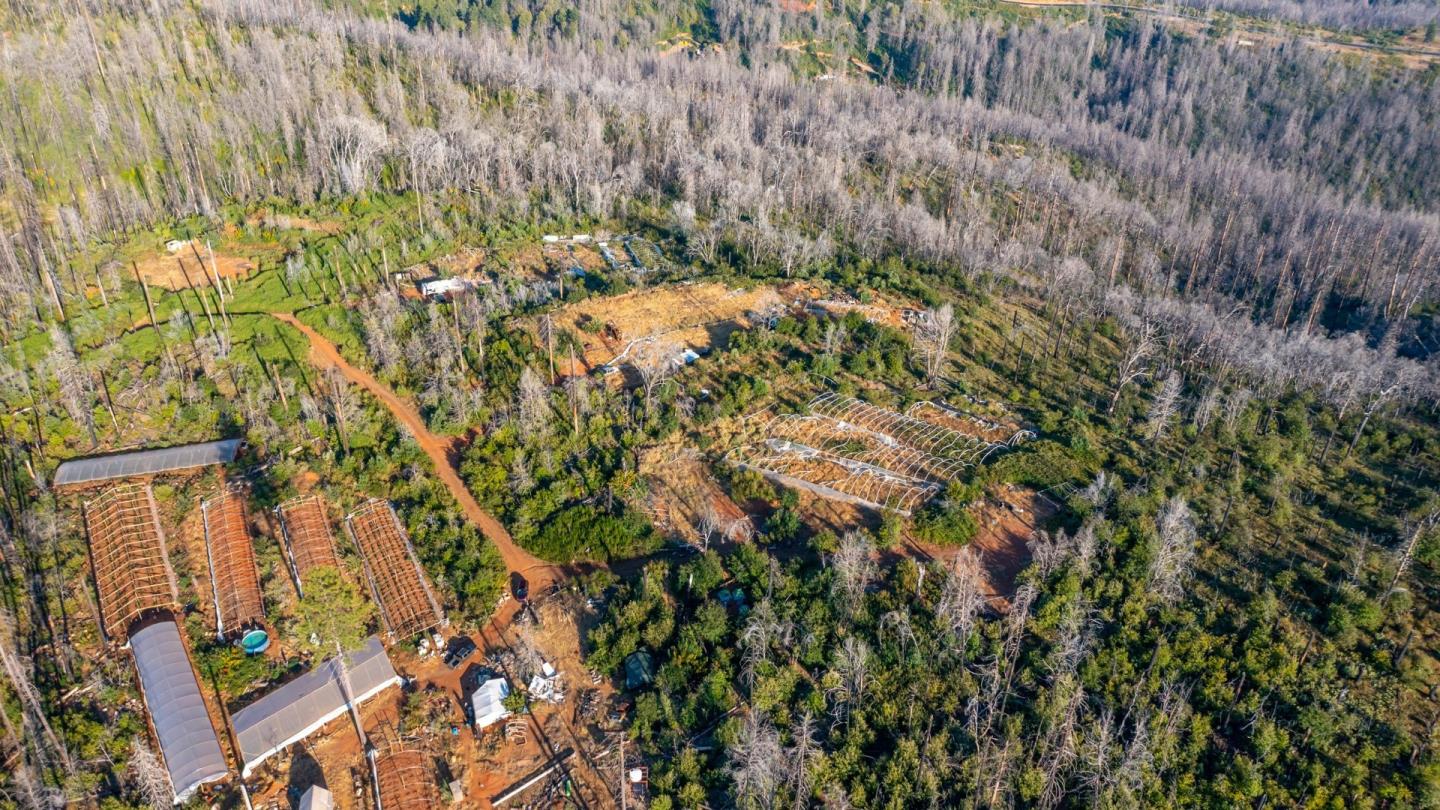 Detail Gallery Image 6 of 20 For 175 Bonnie Meadow Ln, Berry Creek,  CA 95916 - – Beds | – Baths