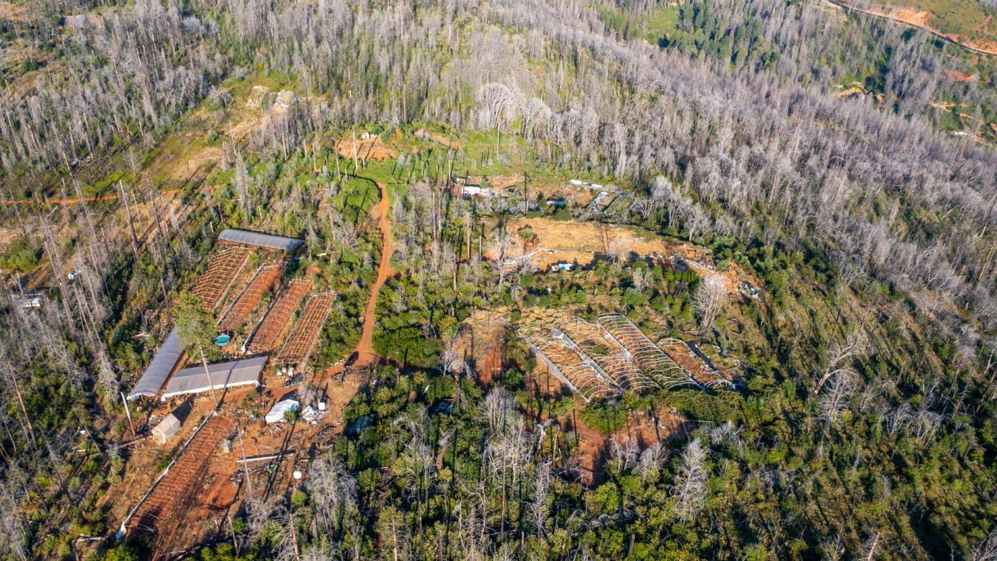 Detail Gallery Image 7 of 20 For 175 Bonnie Meadow Ln, Berry Creek,  CA 95916 - – Beds | – Baths